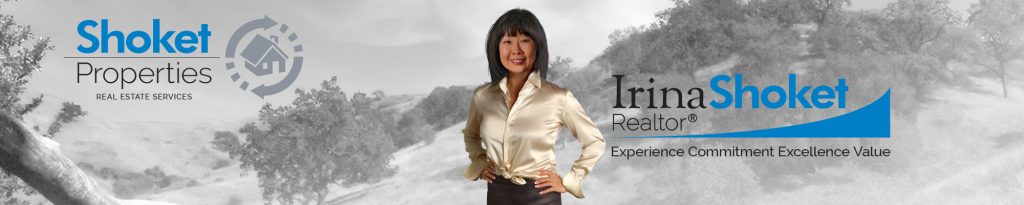 Highly Skilled Thousand Oaks Sellers Agent Irina Shoket -Fountainwood
