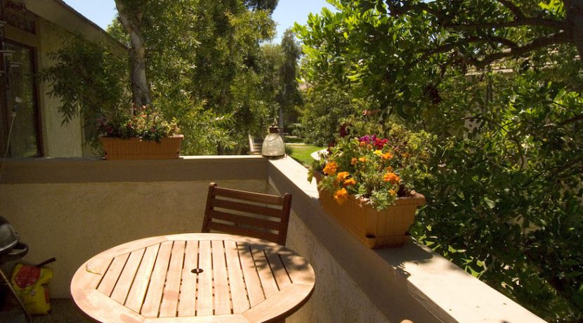 Patio2