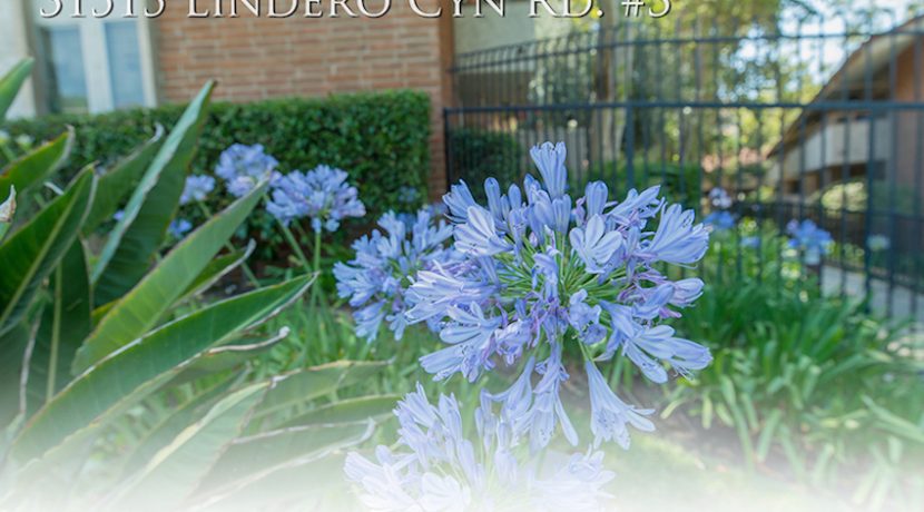 Garden Detail Image 1