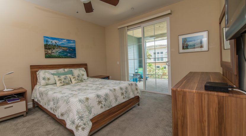 Master Bedroom Suite