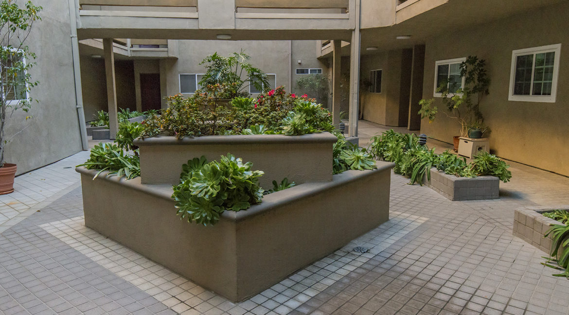 Courtyard Planters
