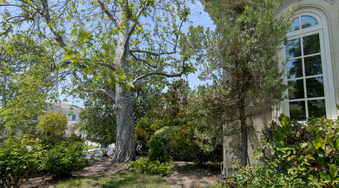 267 Stonecreek Court, Lake Sherwood - South West Front Yard