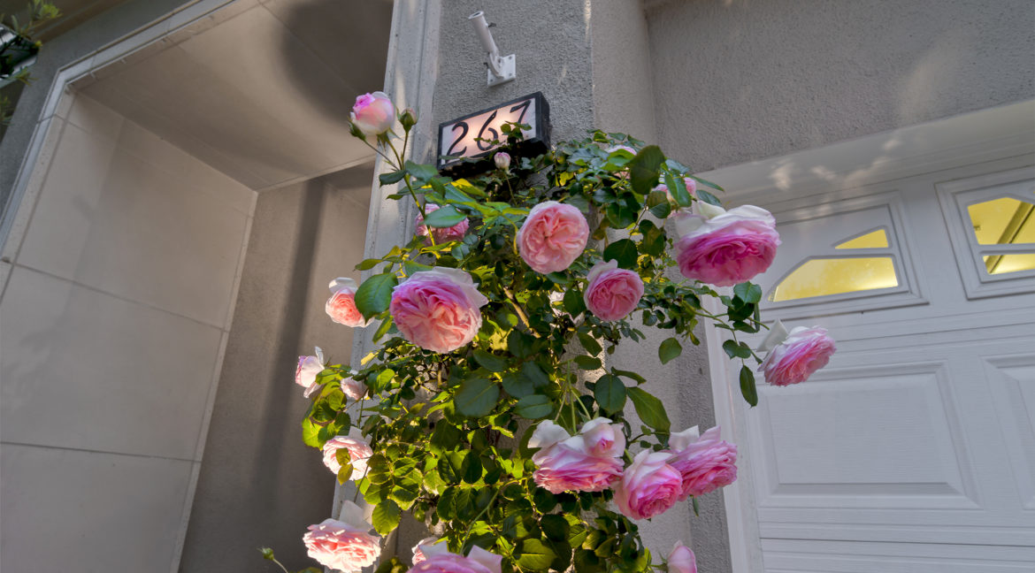 267 Stonecreek Court, Lake Sherwood - Rose covered trellis at front entry