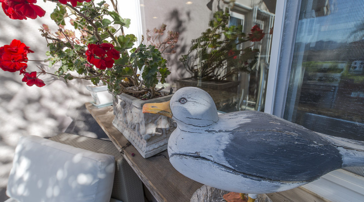 Seagull statue on shelf