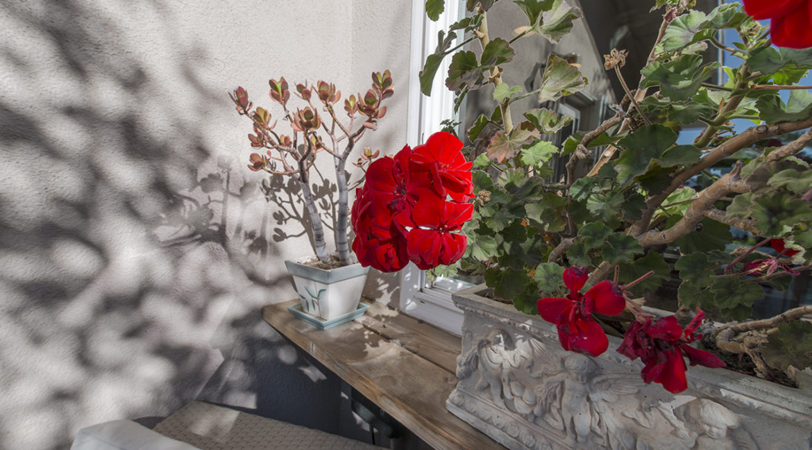 Patio detail