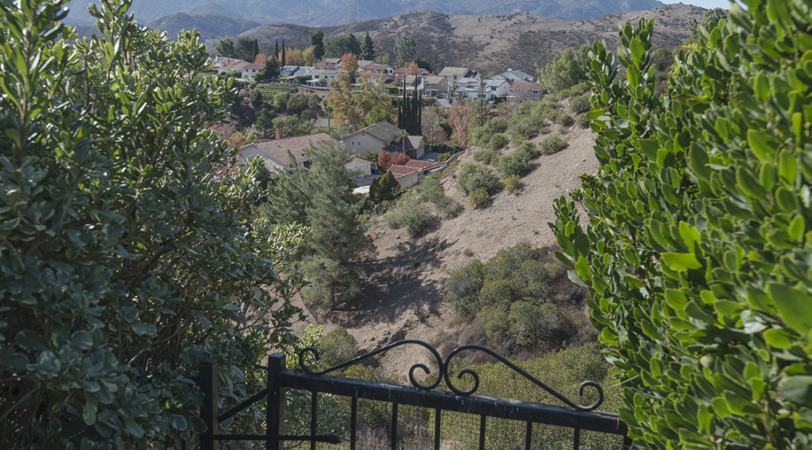 View over backyard gate